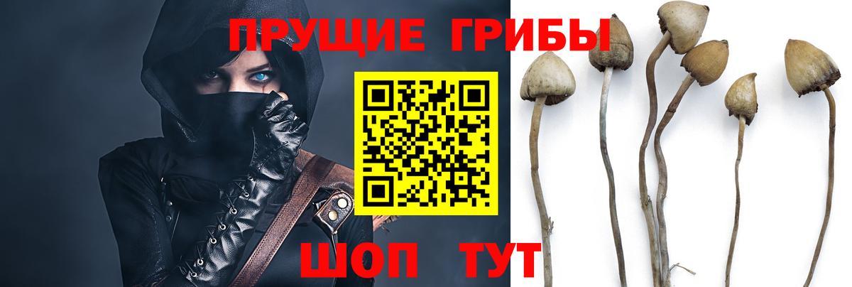 Галлюциногенные грибы мицелий  купить наркоту  Вход с VPN  Полевской  Галлюциногенные грибы Cubensis 